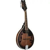 Ortega RMAE30-WB Whiskey Burst