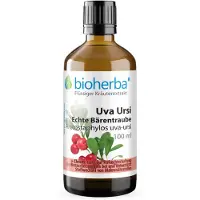 Bioherba UVA Ursi Echte Bärentraube Arctostaphylos uva-ursi Tropfen Tinktur 100 ml