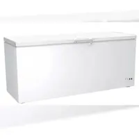 CombiSteel Gastro Tiefkühltruhe Kühltruhe Tiefkühlung 600 L -18/-24°C ISO 60mm