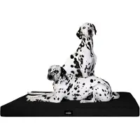Tierlando Orthopädische Hundematratze ALICE VISCO Hundematte Hundebett S - XXL - Größe: 100x80cm | Farbe: 03 Schwarz
