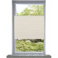 vidaXL Eward