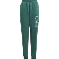 Adidas Trainingsanzüge BLUV Q3 PANT kind