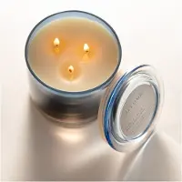 Illume Citrus Crush Statement Kerze blau
