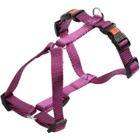Kerbl Miami Gurtzeug Lila 20 mm x 55-76 cm Lila 20 mm x 55-76 cm