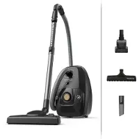 Rowenta Green Force Effitech RO6179, 400 W, Zylinder-Vakuum, Trocken, Staubbeutel, 4,5 l, HEPA
