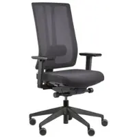ORIGINAL STEIFENSAND Bürostuhl »Ceto Novo CN 25CU112« mit Armlehnen grau, 69 cm