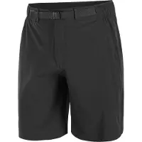 Salomon Shorts Wayfarer 2.0 für Herren