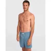 O'Neill Herren Badeshorts VERT 16'' SWIMSHORTS