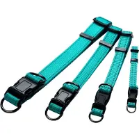 Dogman Nylon Hundehalsband Iris Türkis Groß 20mmx35-60cm