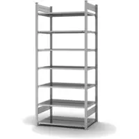 Proregal Aktenregal Stecksystem T-Profil Grundregal HxBxT 235 x 100 x 60 cm 7 Ebenen Fachlast 90 kg Beidseitig Nutzbar Verzinkt