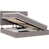 vidaXL Aufbewahrungsbett mit Matratze Taupe 160 x 200 cm Stoff