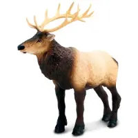 Safari Ltd Moose Figur Braun Kinder Braun One Size