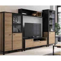Möbelando Wohnwand Schrankwand Anbauwand Mediawand TV-Wand Wohnzimmerwand "Hialeah I"