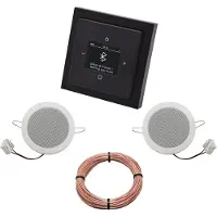 Busch-Jaeger Busch Jäger BT Radio 8217U-101 Future schwarz mit Deckenlautsprecher