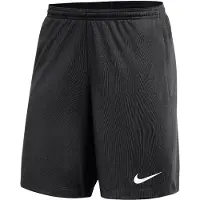 Nike Dri-FIT III Schiedsrichter Short Herren L