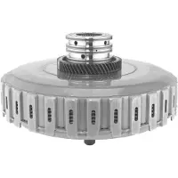 BORGWARNER Kupplungsmodul OE-Version/Erstausrüstung CDWG6950-0170