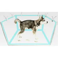 Markenlos Hundetoilette mit hohen Wänden, spritzgeschützt und tragbar - Indoor Urinierstation für Hunde - geeignet für Reisen, Wohnzimmer, Terrasse, Haus, Wohnung und Balkon