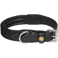 Equestro Web Hundehalsband