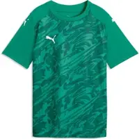 Puma Teamfinal Graphic Jersey Jr sport green-white-power green (05) 176