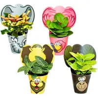 Exotenherz lustiges Zimmerpflanzen Set Animals 4 Pflanzen mit Tieren ideal als Gastgeschenk für Kindergeburtstage