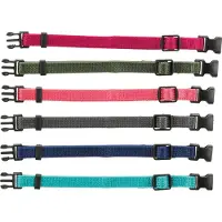 Trixie Puppy Collars Set in Rosa - M / L