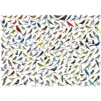 Eurographics Die Welt der Vögel von David Sibley
