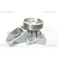 TRISCAN Wasserpumpe 8600 11015