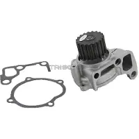 TRISCAN Wasserpumpe 8600 50009