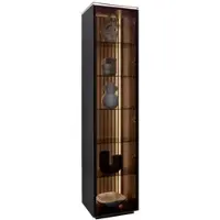 Dieter Knoll Collection Vitrine RIANI - B/H/T ca. 45.80x198.60x40.00