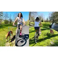 IDog Cani Bike Strong Alm Führleine