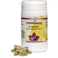 Holisan - Punarnava Kapseln 60 St