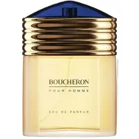 Boucheron Homme Eau De Parfum Spray 100ml