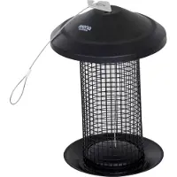 Siena Garden Futtersäule Stahl-Serie für Erdnüsse