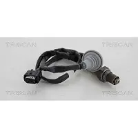 TRISCAN Lambdasonde für MG MG ZR 8845 17012