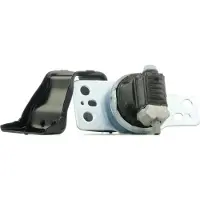 RIDEX Motorlager Hydrolager Rechts für RENAULT Clio III Schrägheck (BR0/1, CR0/1) 247E0505