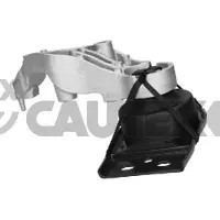 CAUTEX Lagerung Motor 756262 für Renault Rechts Unten