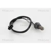 TRISCAN Lambdasonde für RENAULT Clio III Schrägheck (BR0/1, CR0/1) 8845 25022