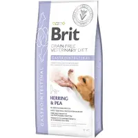 Brit Veterinary Diet - Dog Gastrointestinal 12 kg Futter