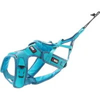 IDog Harnais Canicross X-back Hundegeschirr