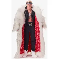 Barbie Ken-puppe