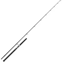 Westin W2 Offshore Powercast 249cm MH 22-82g - Meeresrute