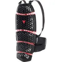 Dainese Pro-Armor 2.0 Back Protector Long