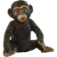 Schleich WILD LIFE Schimpansen Junges, 3 Jahr(e), Jungle, Wild animals / adventure toys, Mehrfarbig