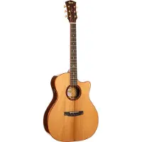 Cort Gold A10 Cocobolo Natürlich