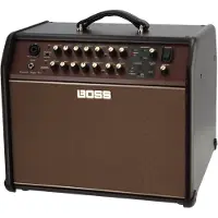 Roland Acoustic Singer Pro-Verstärker