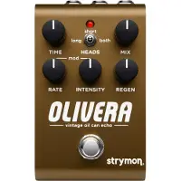 Strymon Olivera Ölkanne Delay