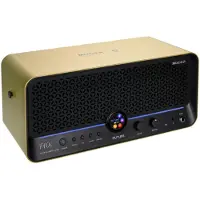 Mooer F40I GOLD