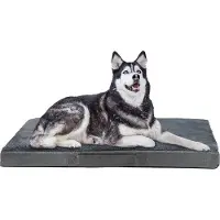 Markenlos Hundebett – orthopädisches Design für große Hunde