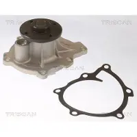 TRISCAN Wasserpumpe [Hersteller-Nr. 860042021] für Mitsubishi, Peugeot, Citroën
