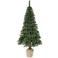 Everlands Tannenbaum Kiefer Tora - H ca. 210,00
